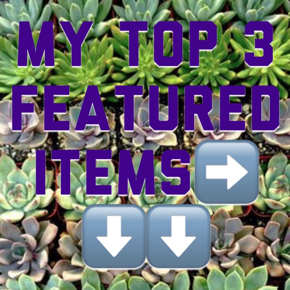 Check out these featured items!